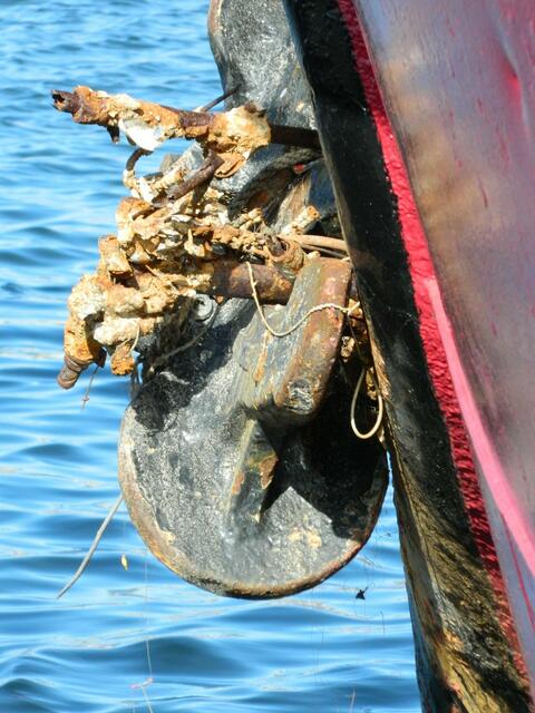 Liegt in Flensburg vor Anker