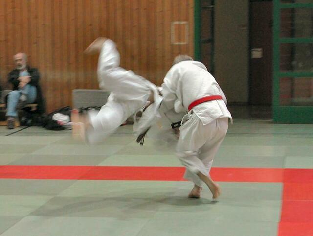Steidel wirft Ippon (Archivbild)