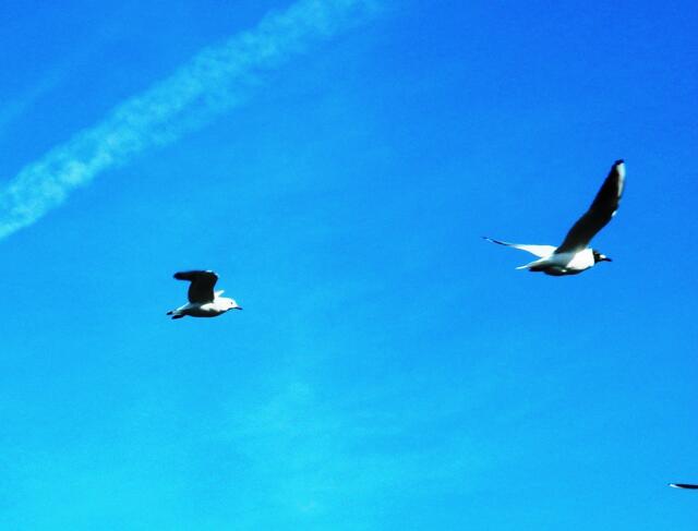 Bin wieder Unterwegs