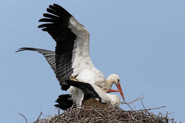 09:34:37 MEZ: Bei großen Windböen wäre das natürlich so nicht möglich!