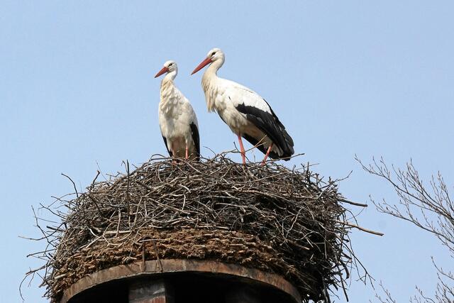 09:44:19 MEZ: "Mein Liebling, mache ich es dir so recht?"