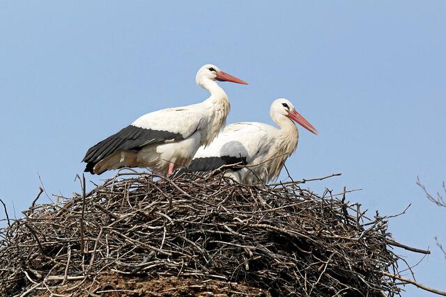 09:34:40 MEZ: "Ist doch schön, dass uns heute auch die Sonne anlacht!"