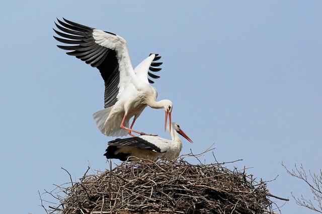 09:34:21 MEZ: Klapper, klapper und auf geht es.