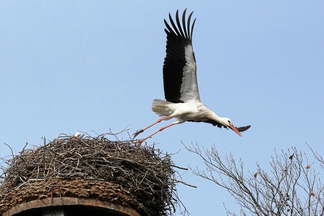 09:39:25 MEZ: "Ich glaube es ist schon Zeit für die nächste Besorgung von Polstermaterial!"