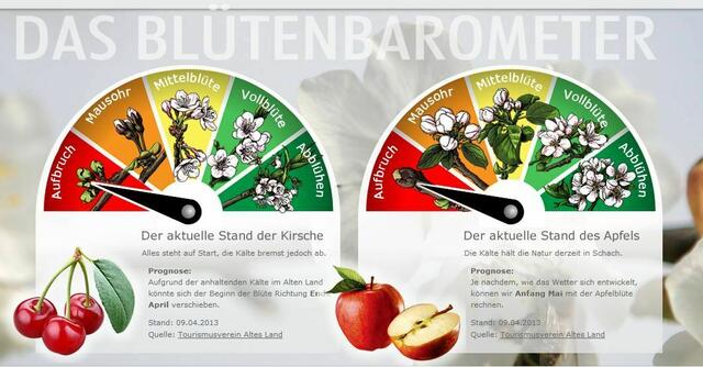 Foto: www.bluetenbarometer.de