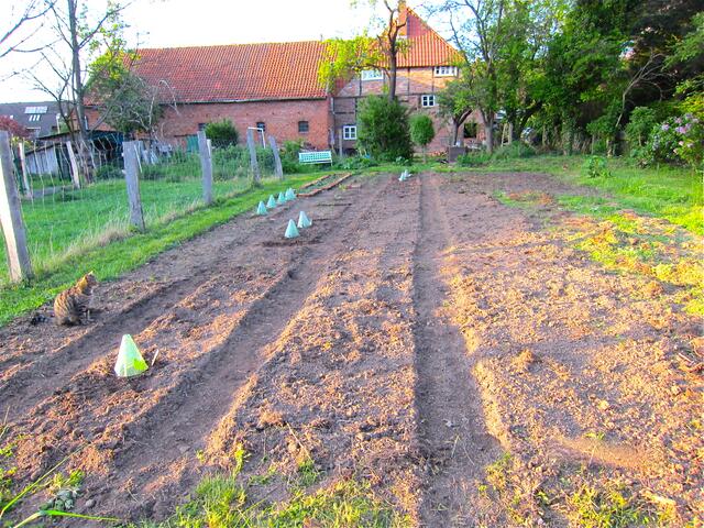Endlich kann die Saat- und Pflanzzeit im Garten beginnen!