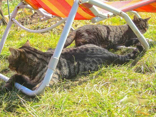 Wir brauchen dringend einen Strandkorb ;-)))
