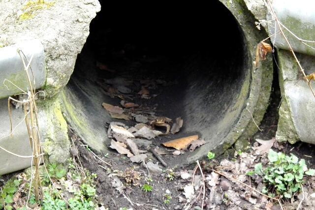 Unter dem "Oestberner Weg" führt ein Tunnel zum Hexenteich.