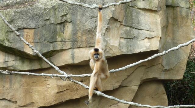 Das ist schon fast eine Tanzpose.
