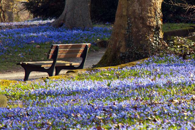 Rhapsodie in Blue im Sonnenschein