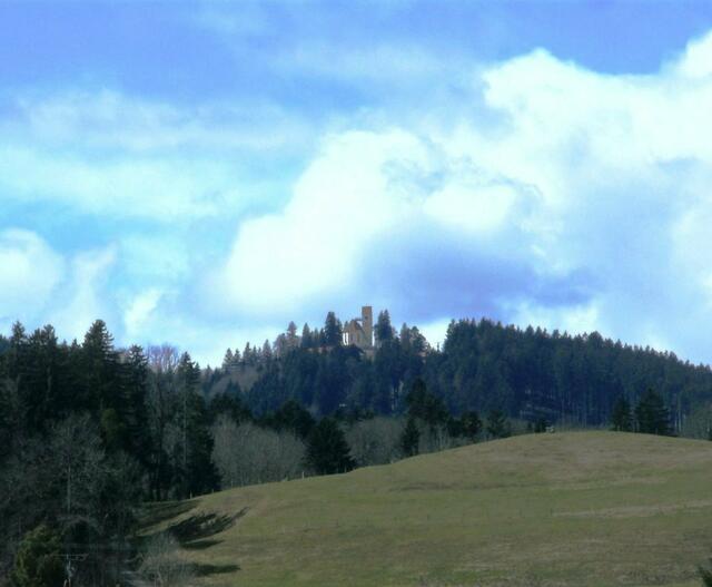Sicht von der Auerberghalle zum historischen Auerbergplateau.