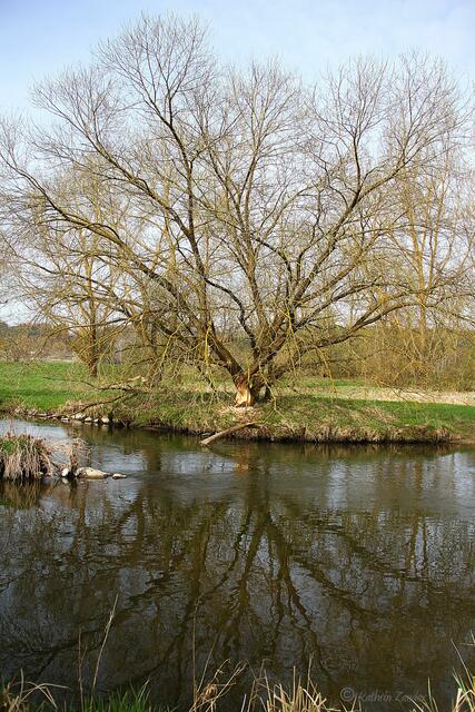 der Frühling ist da