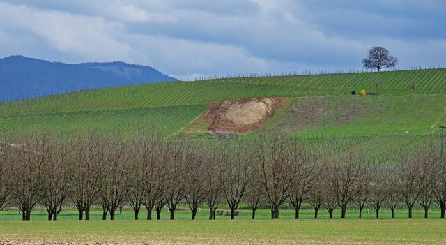 Blick auf die Berge, noch sind die Obstbäume und die Reben kahl.