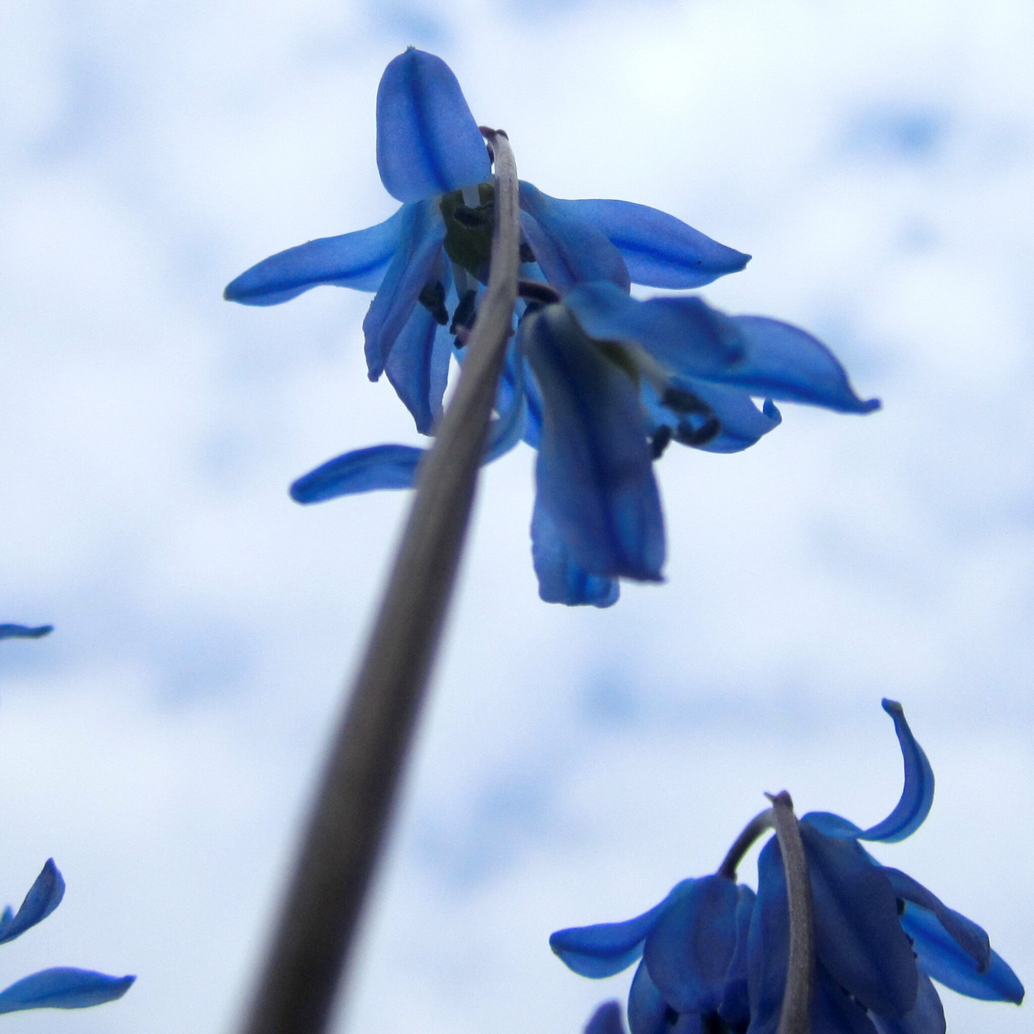 Die BlauMacher HannoverGroßBuchholz