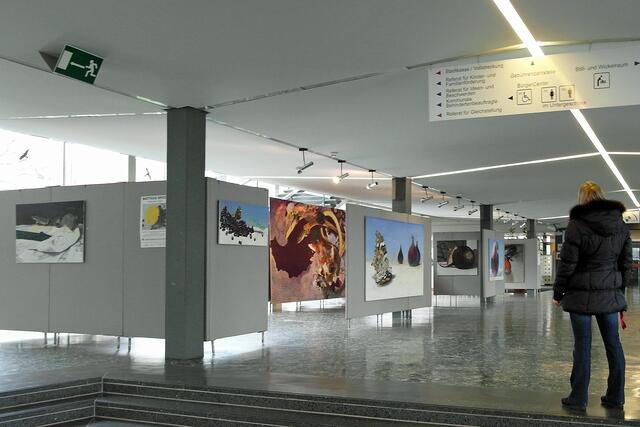 "Reiche Ernte" lautet der Titel der Ausstellung, die im Atrium des Rathauses gezeigt wird.