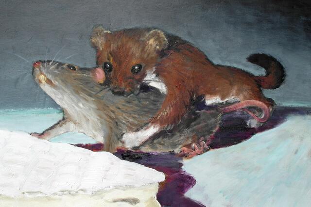 "Falle", 2009, 75 x 116 cm, Bildausschnitt