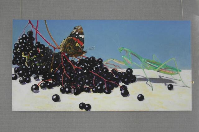 "Holunder", 2013, 50 x 90 cm