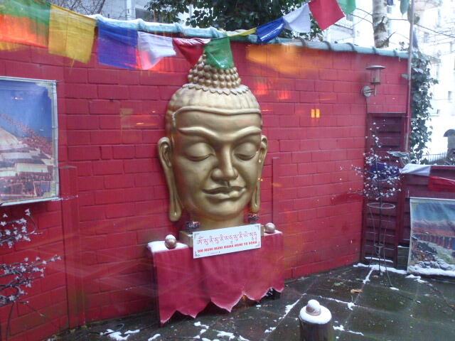 aus dem Hinterhofgarten grüßt Buddha