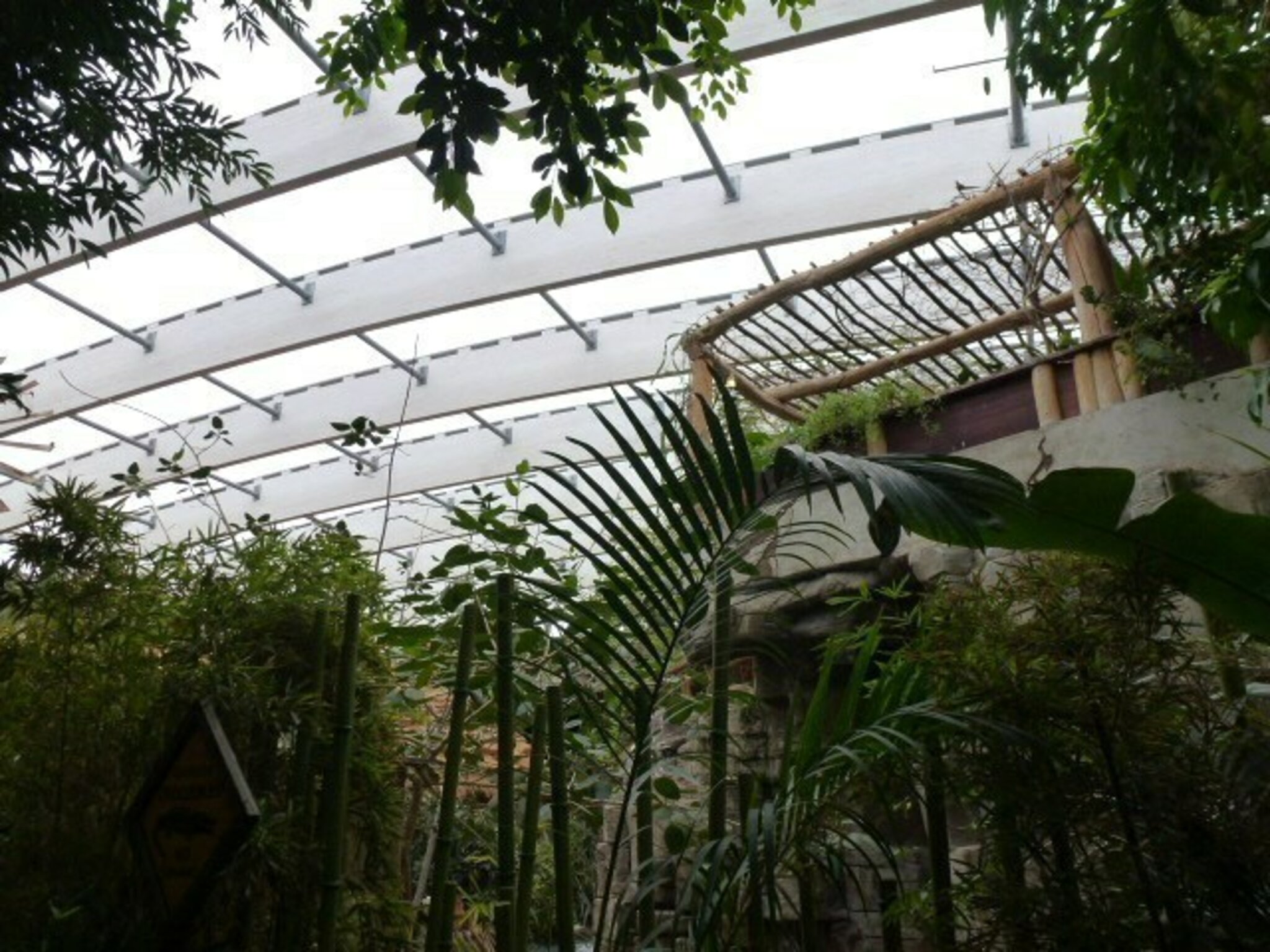 tropen-aquarium beim tierpark hagenbeck fotos