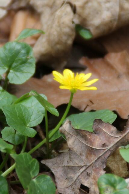 ... und in den Frühling.