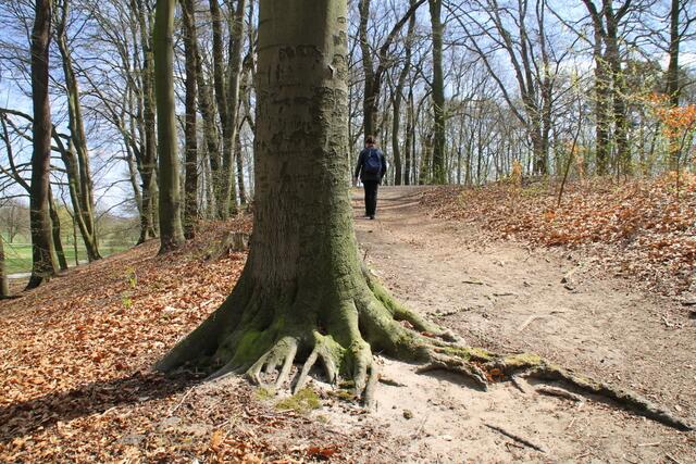 ... führt der Weg für Hannoversche Verhältnisse steil hinauf ...