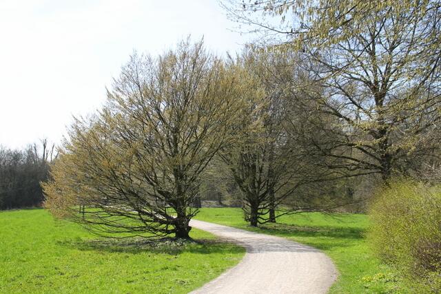 ... die Wege winden sich und die Bäume tanzen um sie herum ...  ;o)