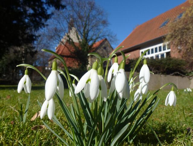 Frühling in Gehrden :-)
