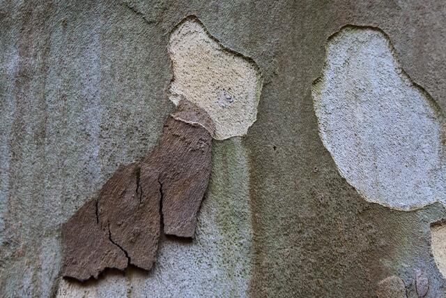 Und was ist das?