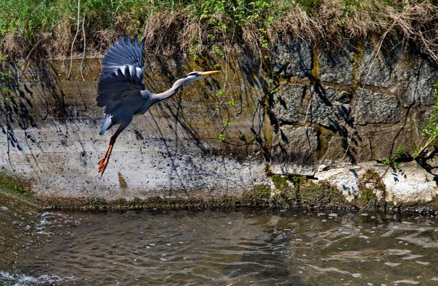 Und Abflug