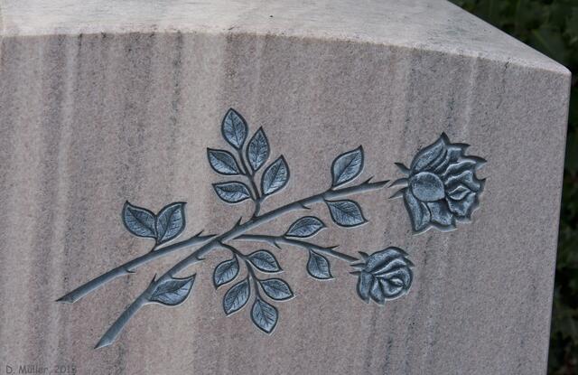 Rose auf Granit