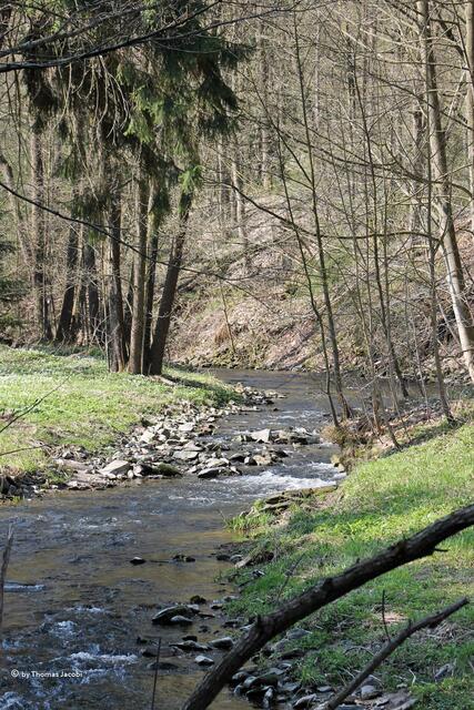 Die Sehma bei Frohnau.