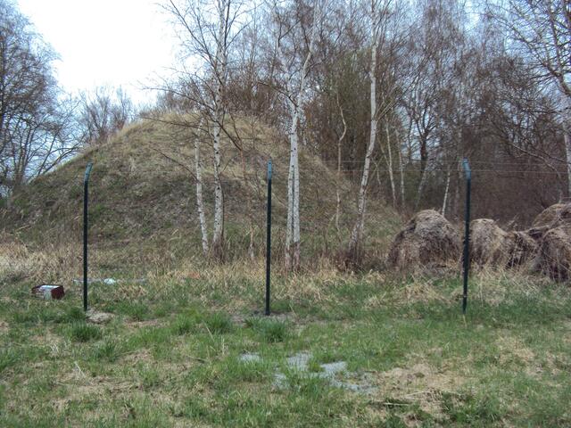 Die überwachsene Abraumhalde auf dem - neu - eingezäunten Gelände von Schacht Wendland