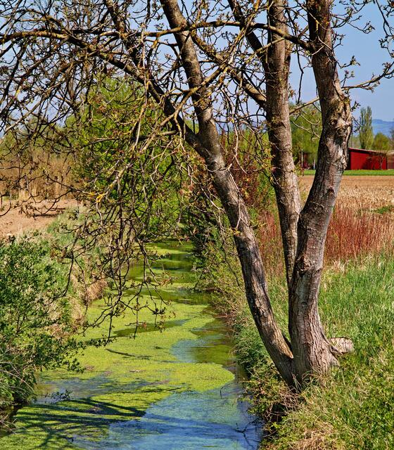 Bachlauf am Kaiserstuhl-Radweg