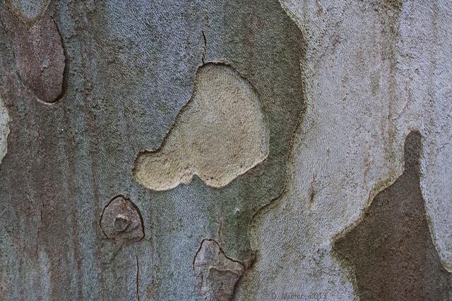 Also - was ist das?