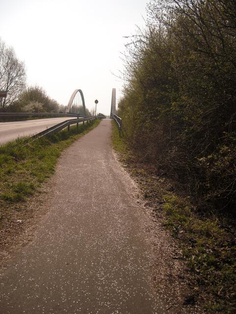 26.04.13 Weg zur Gretenberger Brücke - Hier liegt schon wieder Schnee.... aber aus Blüten