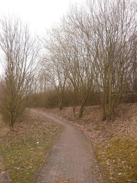 17.04.13 fast herbstlich