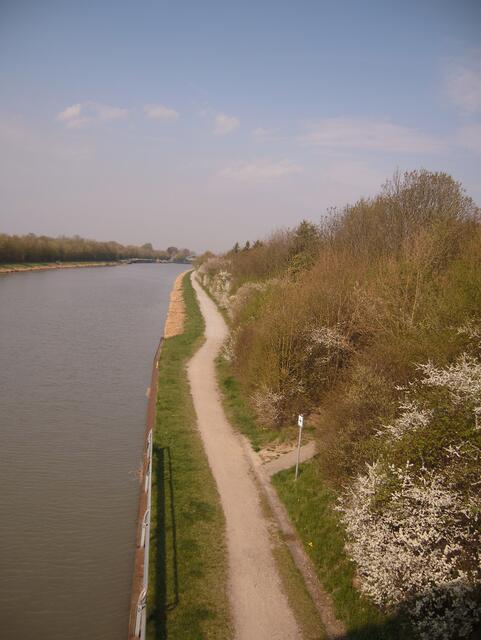 26.04.13 Die " Weißblüher " erstrahlen