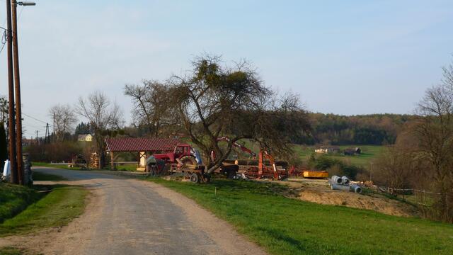 Der einsame Bauernhof , der Straußenvögel.
