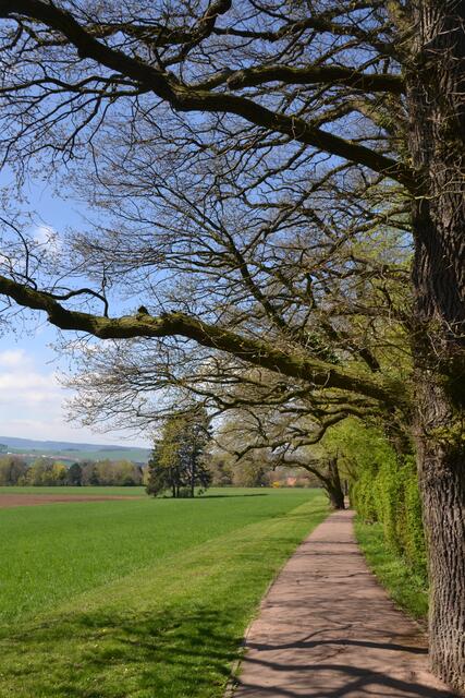 Partie im Kurpark Bad Nenndorf (Foto: Katja Woidtke)