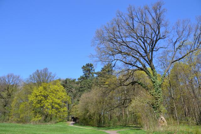 Partie im Kurpark Bad Nenndorf (Foto: Katja Woidtke)