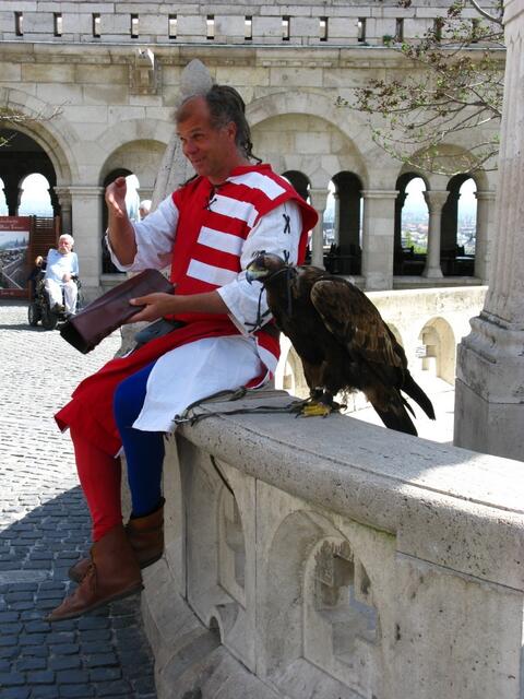 Ein Adler mit seinem Herrn.