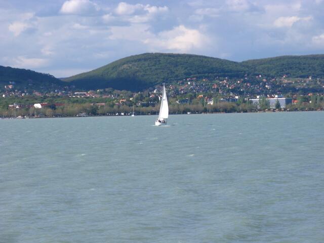 Segler auf dem Plattensee.