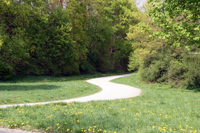 Und auf dem Rückweg erschien manchem Besucher der Weg viel kurviger als vorher :-))
