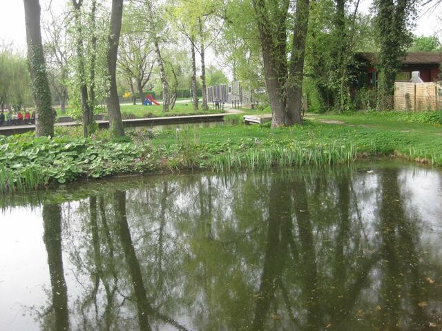 Spiegelungen im Schlossweiher