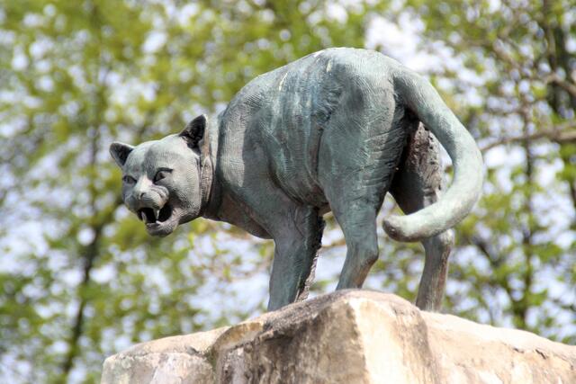 Die Katze auf dem Dorfbrunnen hat heute aber keinen Grund zum Fauchen!
