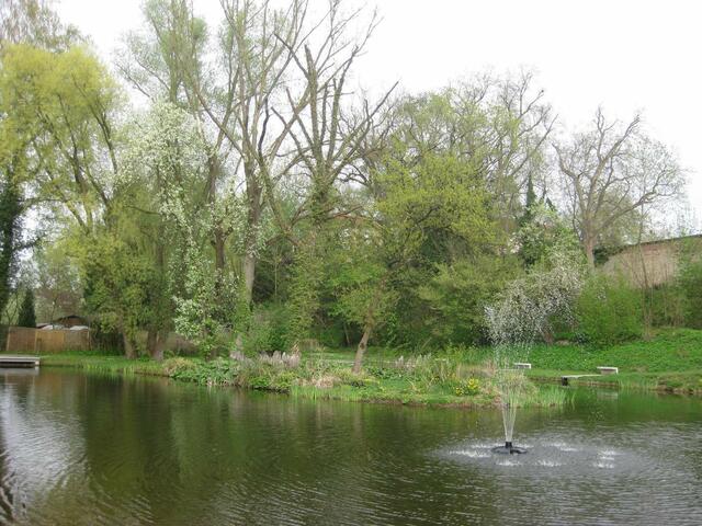Der Springbrunnen  - spendiert vom Verein der Freunde des Stadtparks - vor der Insel im Schlossweiher