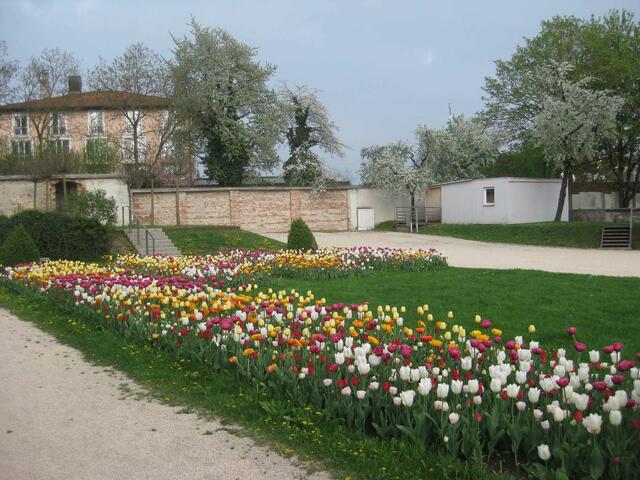 Blick auf den Schlossgarten - interessant, wenn man dieses Bild mit einem Bild von der 2. Meditation vergleicht: jetzt sind die Tulpen voll erblüht!
