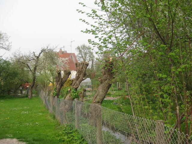 ein privater Nachbarsgarten ...