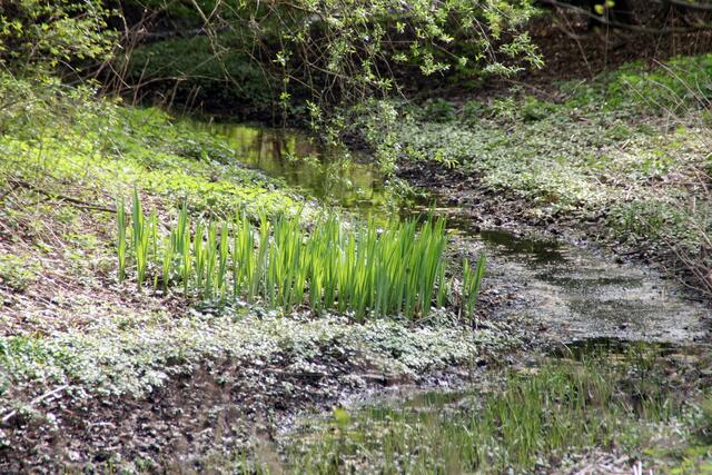 Biotope werden eingerichtet und lassen die natürlich auch zahlreich vorhandenen Straßen immer wieder vergessen.