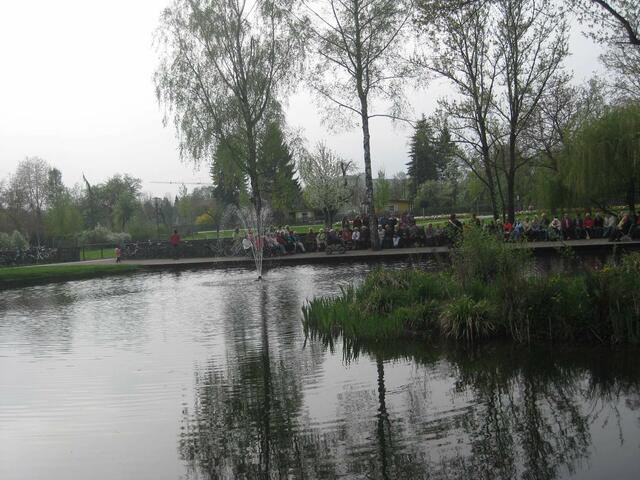 der Schlossweiher - mit Insel